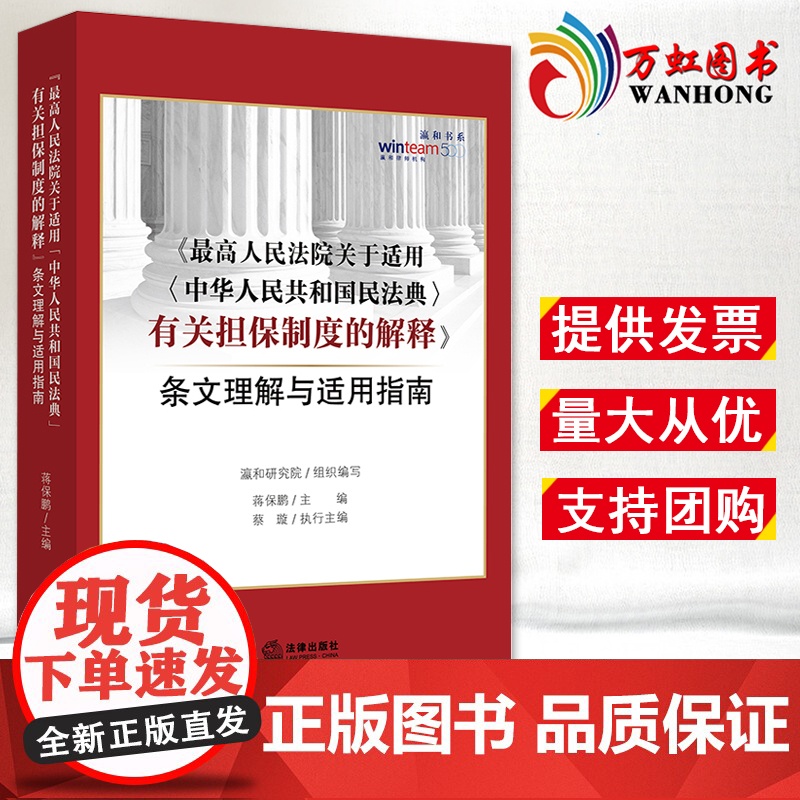 最高人民法院关于适用中华人民共和国民法典有关担保制度的解释条文理解与适用指南 新民法典担保制度司法实务