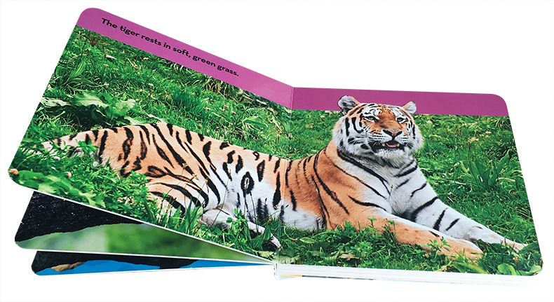 [正版]英文原版绘本 National Geographic Kids Look and Learn: Big Cats高清大图