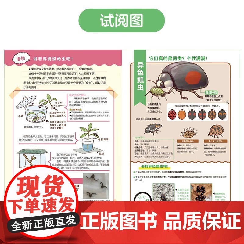 探索身边的大自然 郊外常见动物图鉴 5-10岁 一日一种 著 科普高清大图