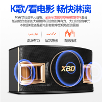 炫宝迪 家庭ktv音响套装专业家用卡拉ok点歌一体机功放音箱全套 [流行款]22寸/6T