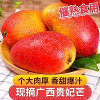 广西百色现摘现发贵妃芒果9斤大果礼盒装新鲜应当季热带水果树上熟芒果红金龙甜心