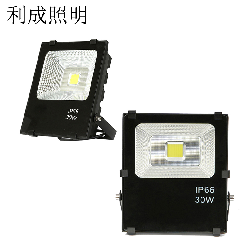 利成照明 投光灯 LC1320-30W高清大图