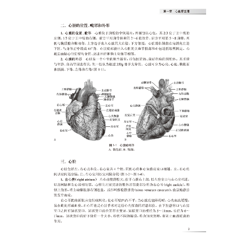 醉染图书临床血压学9787117296700高清大图