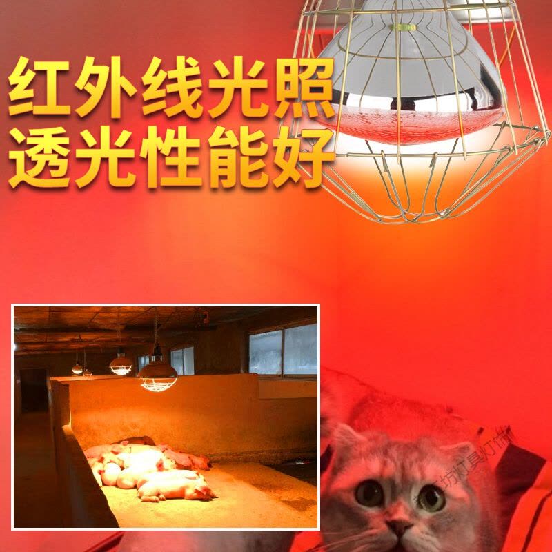 苏宁放心购 仔猪保温灯养殖取暖灯泡加厚防水防爆养殖保暖灯泡套装图片