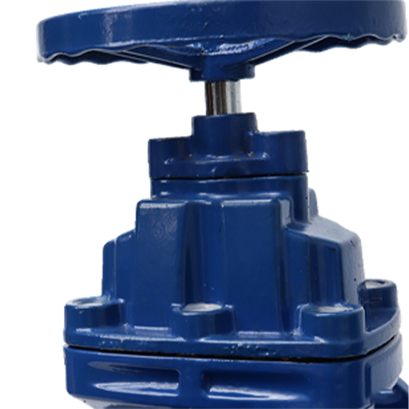 卡西斯顿 球墨铸铁闸阀 DN65 个高清大图