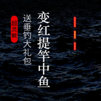 小凤仙智能咬钩变色重力感应夜光漂换尾水无影夜钓电子浮漂纳米鲫鱼漂套装带电池大礼包