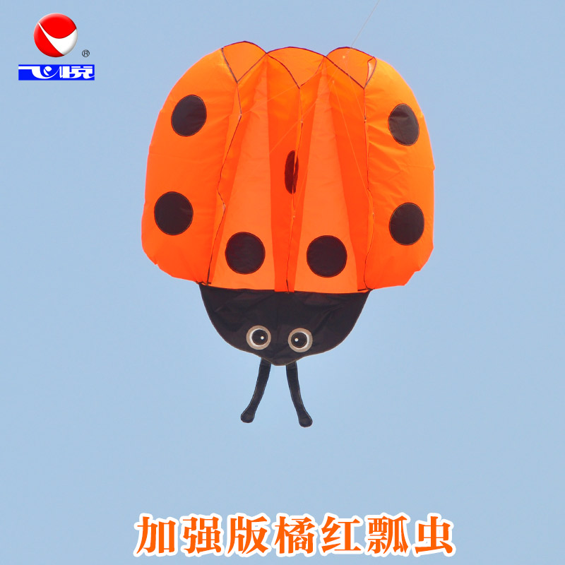 成大人软体风筝瓢虫易飞潍坊新款大型3d立体小钢炮风筝创意 三维工匠 加强版橘红瓢虫高清大图
