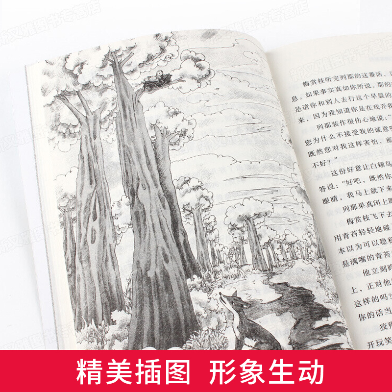 [全套4册]快乐读书吧五年级上册 [正版]中国民间故事 五年级上册快乐读书吧必读全套4册 小学生课外阅读书籍 欧洲民间故高清大图