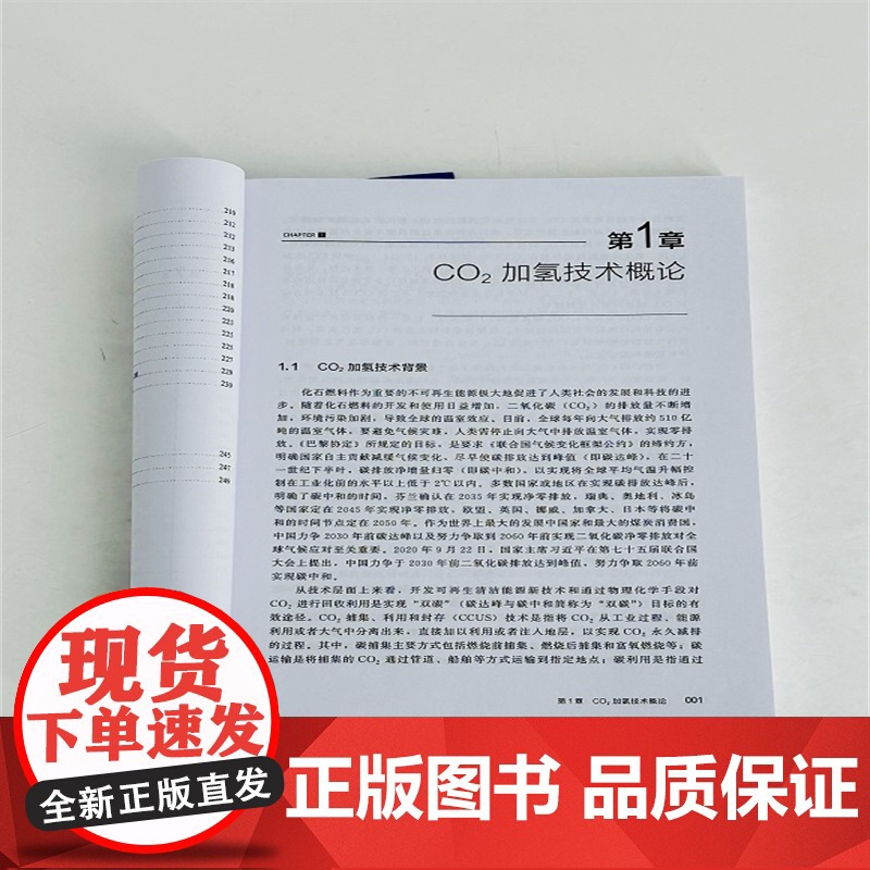 二氧化碳加氢高清大图