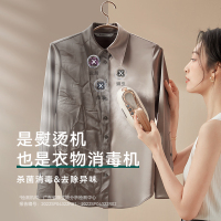 大宇(DAEWOO)挂烫机家用手持熨烫机 蒸汽电熨斗 旅游出差便携式小型除菌自清洁烫衣机HI-036 星黛紫