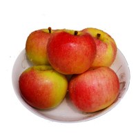 佳艾果缘 山东美八苹果5斤 约10-12个果 2500g 新鲜采摘红苹果嘎啦果国产苹果 当季特产 酸甜可口