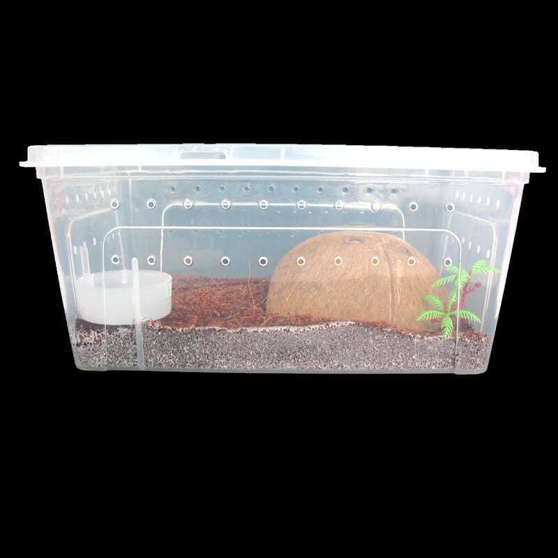 小号1个+圆水盆1个 宠物爬虫饲养盒带景蜘蛛守宫蛇蜥蜴蝎子蜈蚣饲养箱大中小号套装