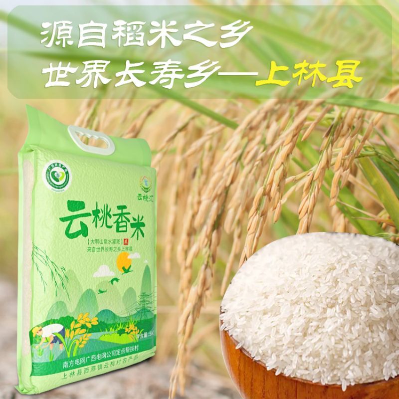 源食鼓上林云桃香米世界长寿之乡大米5KG/袋真空包装南方籼米上林米