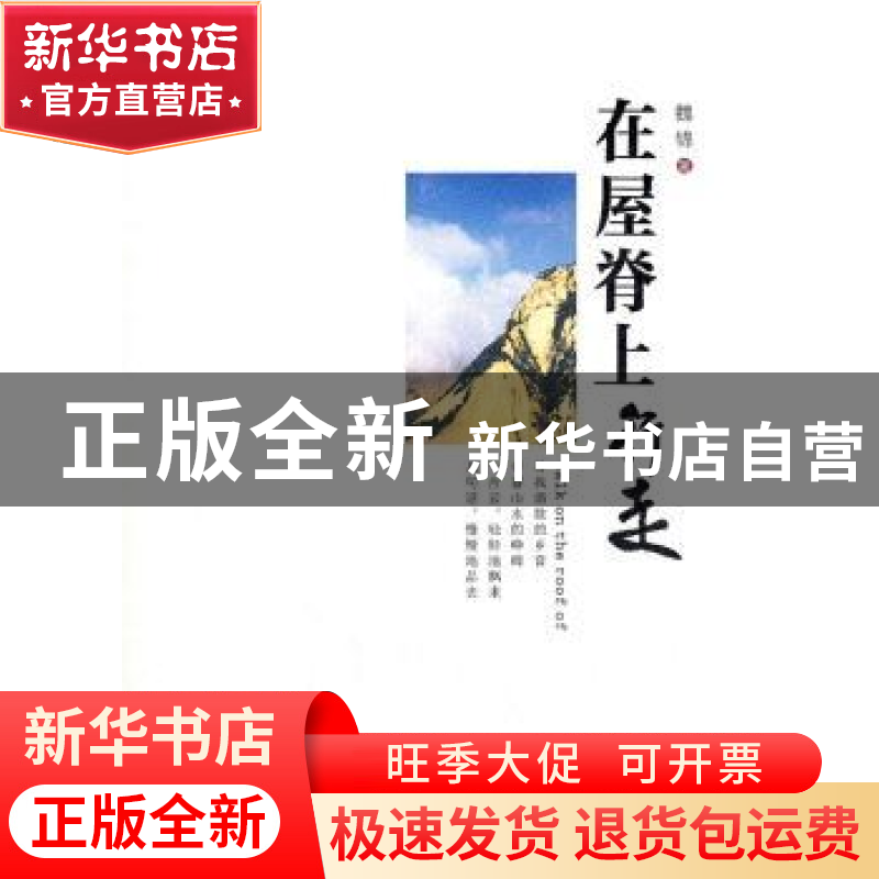 正版 在屋脊上行走 魏锦著 宁夏人民出版社 9787227047971高清大图