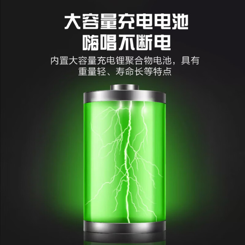 惠度(HuiDu)NB-500L专业电吹管演唱音箱双数字直播录音三分频挎包式带双麦电视伴侣音箱