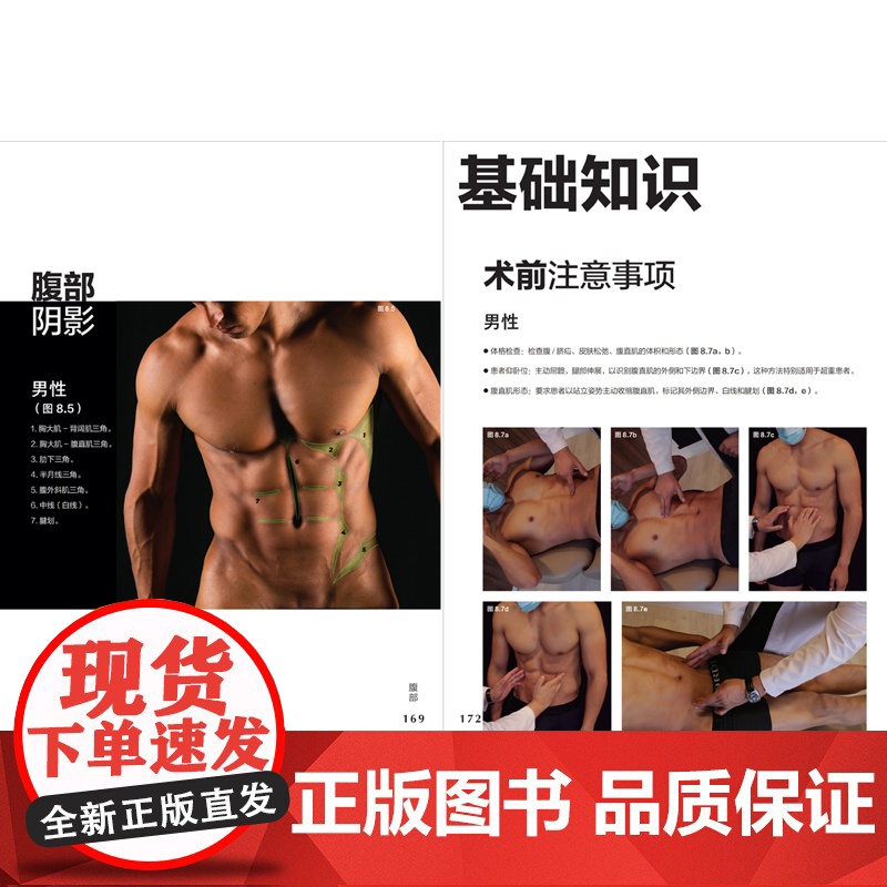 形体精雕诠述:高阶技能图谱高清大图