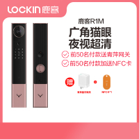 鹿客(loock)智能锁 R1M 磨砂金 全自动可视猫眼推拉智能门锁 家用指纹锁密码锁含夜视功能 小米米家智能联动