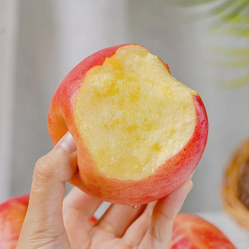 陕西延安洛川新品种秦脆苹果水果 25枚70mm小果 新鲜脆甜水果高清大图