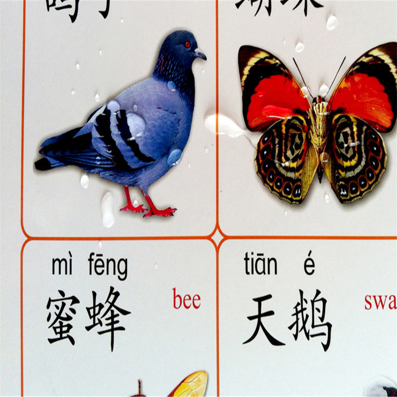宝宝启蒙认知双面挂图无声全套12张 0-3-6岁幼儿识字学拼音数字认字水果动物卡片儿童早教书看图识字启蒙挂图