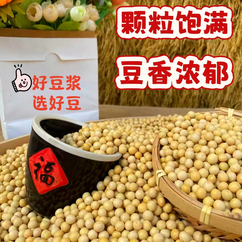 鲁强石磨源 黄豆 500克 发豆芽 打豆浆 酥田袋装高清大图