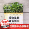 现代农药应用技术丛书——植物生长调节剂卷 金静,孙家隆,张茹琴主编9787122387424