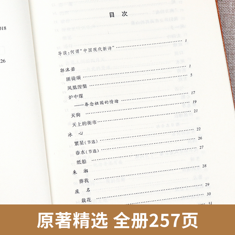 [醉染正版]中国现代诗歌选艾青著人民文学出版社 初高中学生阅读推荐中国经典现代文学名著书籍口碑版本课外读物正版 青少年版高清大图