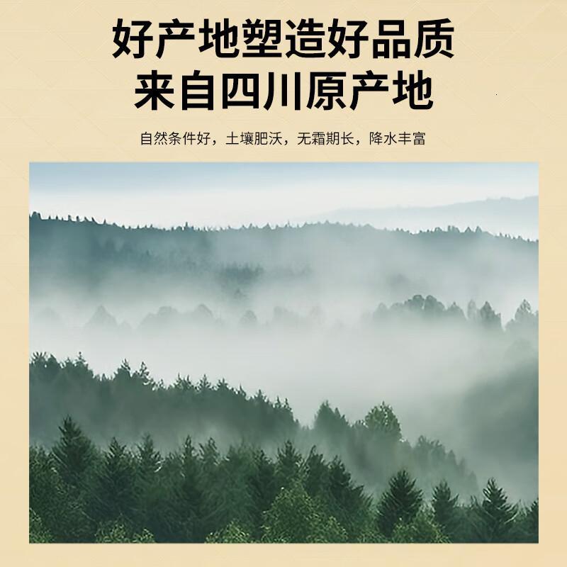 同仁堂品牌 北京同仁堂乌梅300克四川老乌梅干酸梅汤原料包乌梅茶