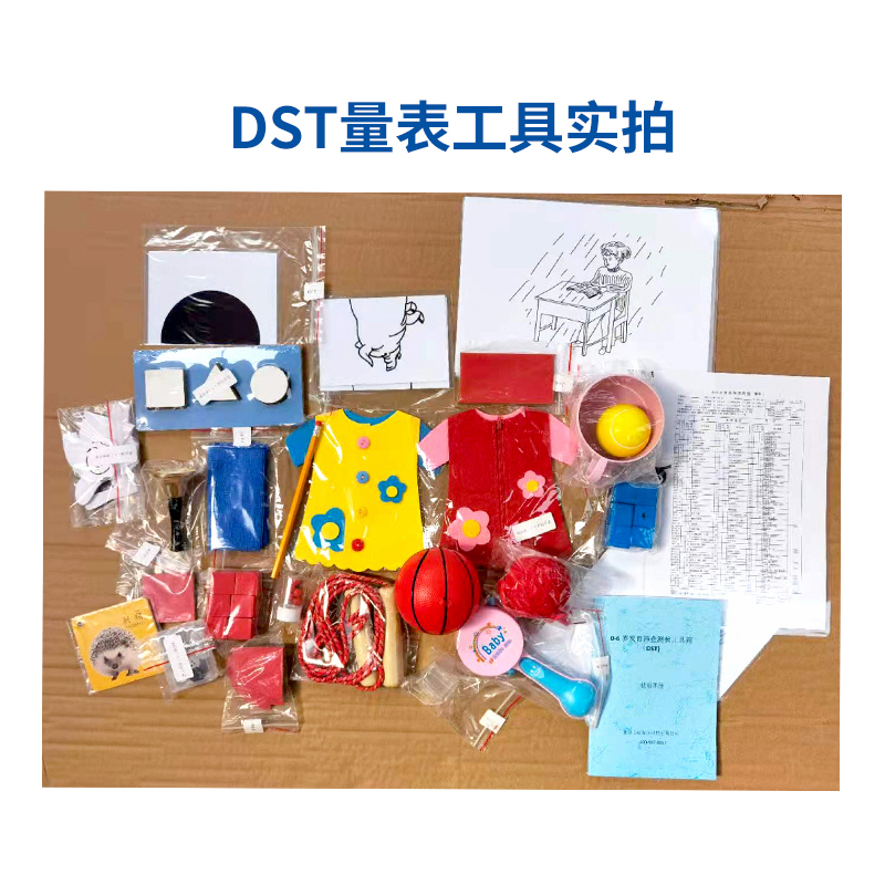 尚智慧童SZHT-DST02 DST智能发育筛查量表0-6岁儿童智力评估减压软件工具箱早教教具高清大图