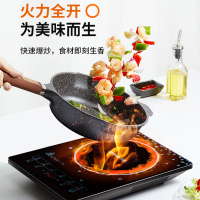 九阳(Joyoung) 电磁炉微晶面板智能触屏EMC认证2100w大火力6D防水单机版C21S-C3150-A4
