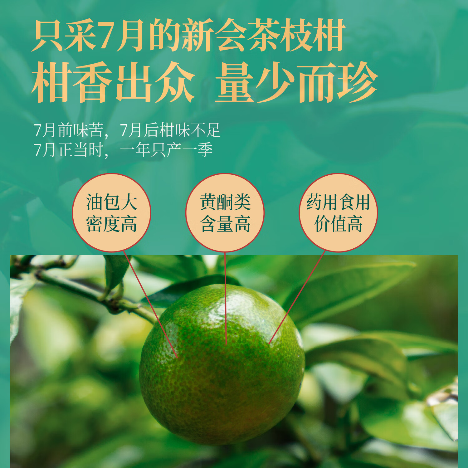 茶人岭正宗新会小青柑陈皮普洱熟茶 勐海春茶发酵柑普茶叶礼盒装500g高清大图
