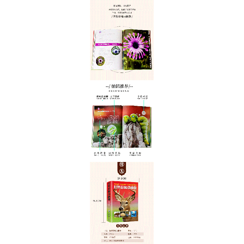 正版新书]世界珍稀动植物孙祥盛9787502092498高清大图