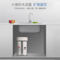 道尔顿/Doulton 家用厨房直饮净水器 FIP201 六级过滤 矿物质水直饮净水机