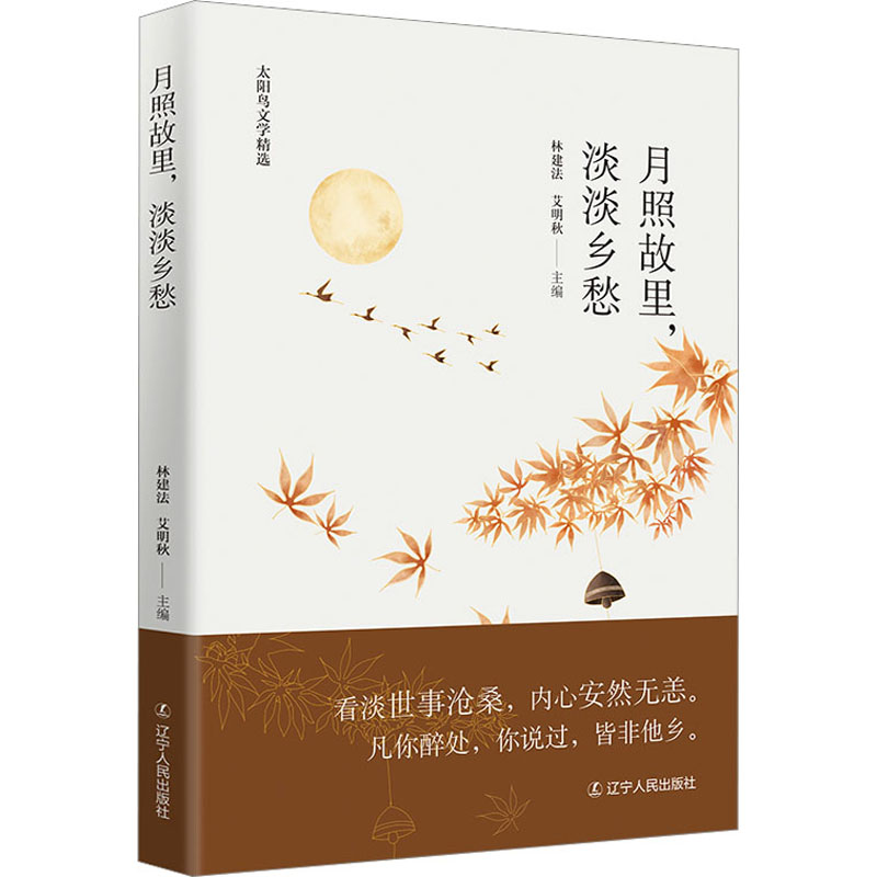 醉染图书月照故里,淡淡乡愁9787205104931高清大图