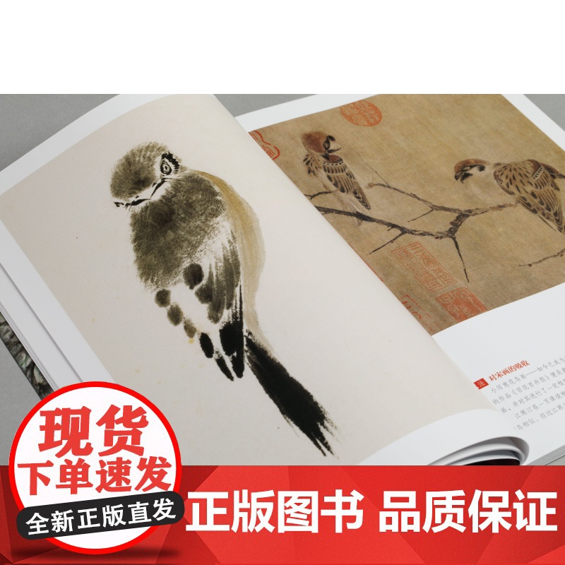 江寒汀花鸟技法图解 大师课堂中国画绘画技巧苏小松苏编著上海书画出版社高清大图