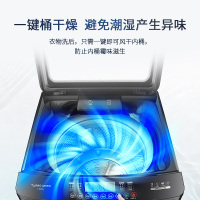 扎努西.伊莱克斯(ZANUSSI)ZWT1511DG 15KG超大容量波轮洗衣机节能全自动