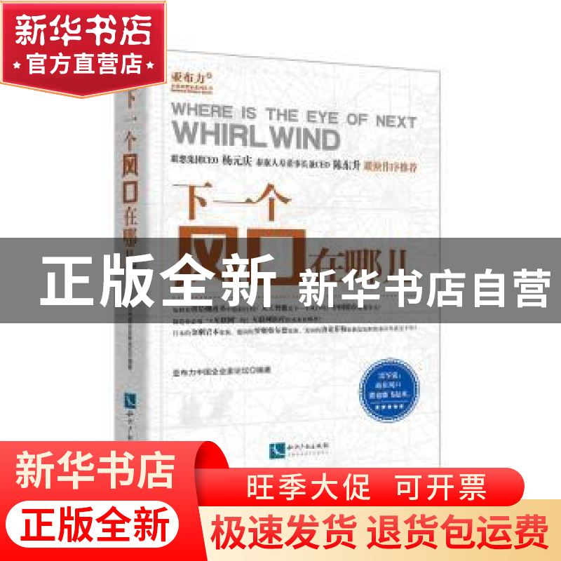 正版 下一个风口在哪儿 亚布力中国企业家论坛 知识产权出版社 97高清大图