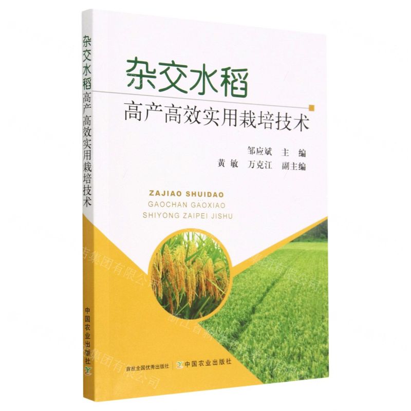 【N】杂交水稻高产高效实用栽培技术-9787109299702