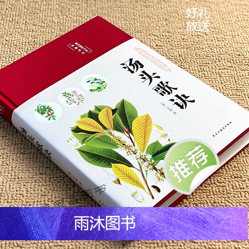 [正版]汤头歌诀全书彩绘版布面精装白话解释彩图对照中医名著经典基础入门中药配方内服煎汤剂为主的药方学中医草药基础书籍名高清大图