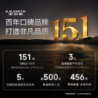 AO史密斯60升电热水器 无地线可安装 专利安全隔电 金圭内胆 速热节能 一键中温保温E60VDS 预约洗浴