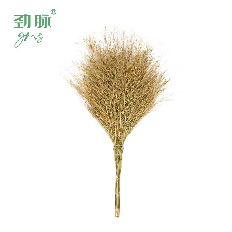 劲脉 户外环卫大扫把扫帚 一体式5斤 把高清大图