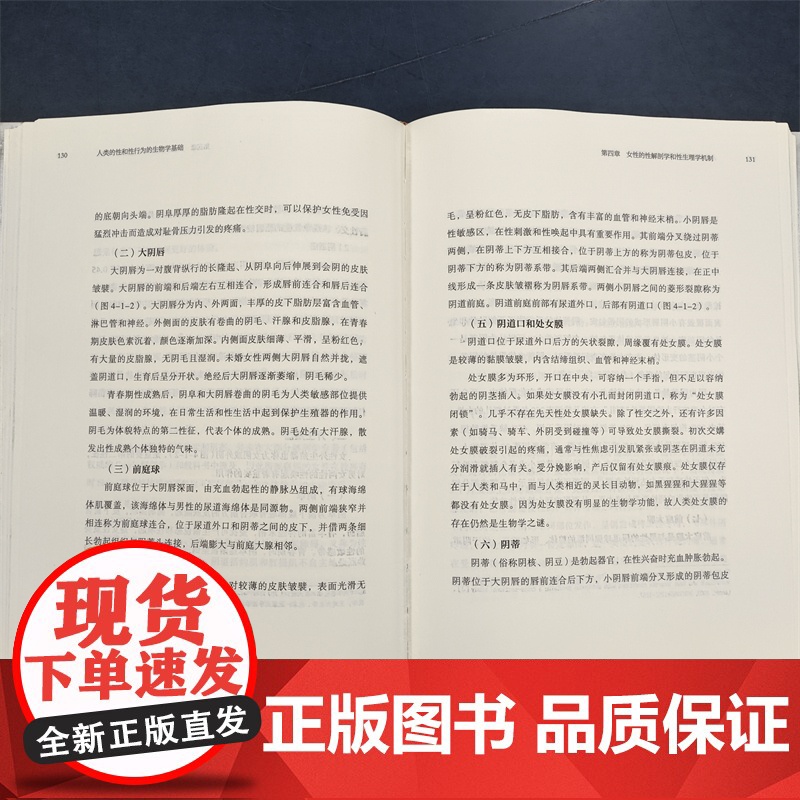 [店]人类的性和性行为的生物学基础高清大图