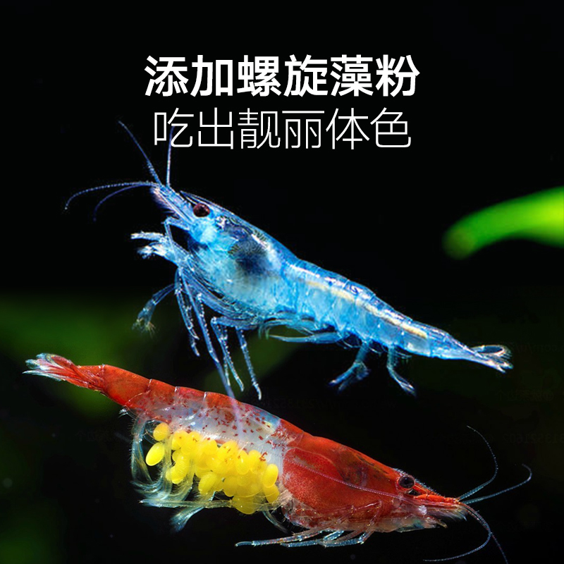 黑壳虾虾粮沉底鳌虾喂食器水晶虾食粮冷水虾观赏虾饲料食料高清大图