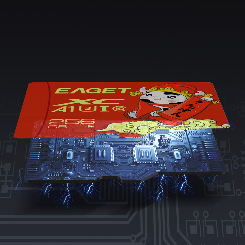 忆捷(Eaget) 手机存储卡监控摄像内存卡TF卡高速行车记录仪SD卡c10高速卡 256GB高清大图