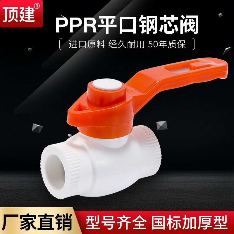 禾润泽 PP-R 球阀 热熔球阀 φ20 个