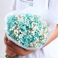 云南满天星干花大束勿忘我家居摆设小清新装饰鲜花真花ins干花束|白+蓝满天星 买满天星送一束勿忘我