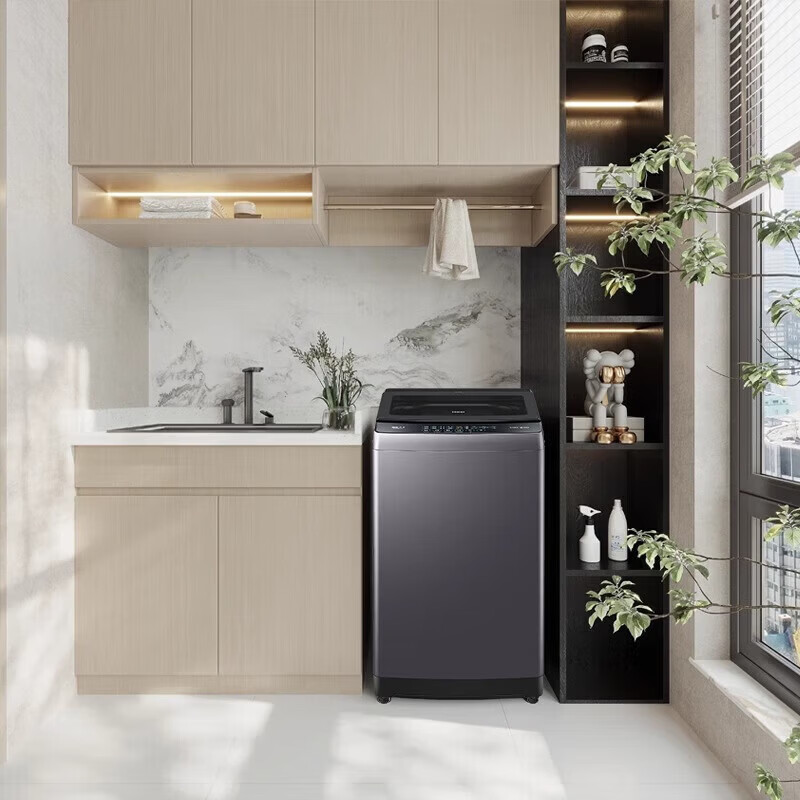 海尔(Haier)波轮洗衣机 12kg大容量 家用全自动节能一级能效电离除菌 直驱变频 EB120B53Pro3高清大图