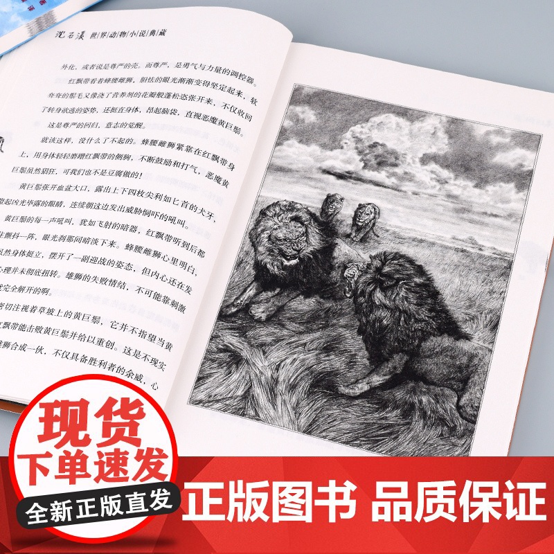 沈石溪动物小说全套4册 传奇狼王梦黑熊舞蹈家白象家族7-8-10-12-15岁儿童文学三四五六年级中小学生课外阅读书籍高清大图