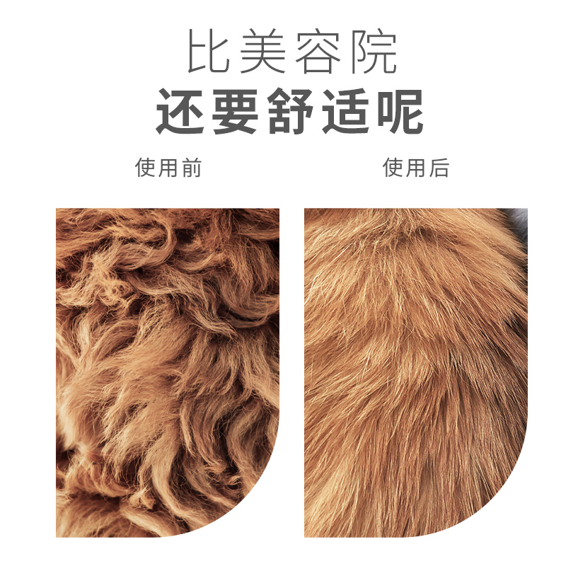 宠物吹风机拉毛一体梳狗狗猫咪洗澡吹干小型犬专用吹水机高清大图