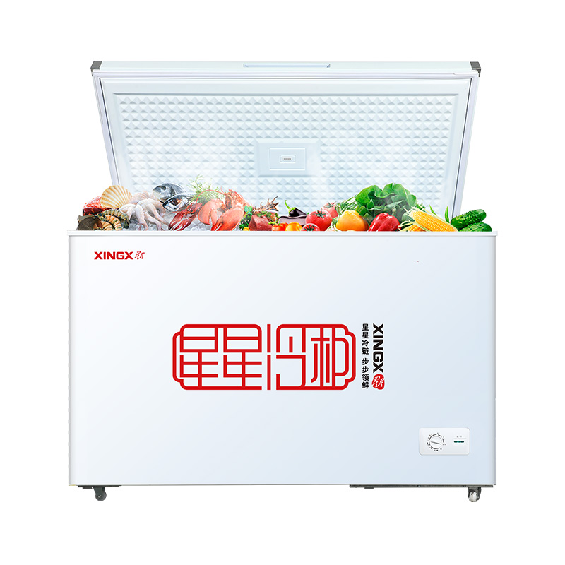星星(XINGX)400升 商用冰柜冷藏保鲜强劲冷冻超市便利店大容量节能省电家商两用单温冷柜 BD/BC-400R高清大图