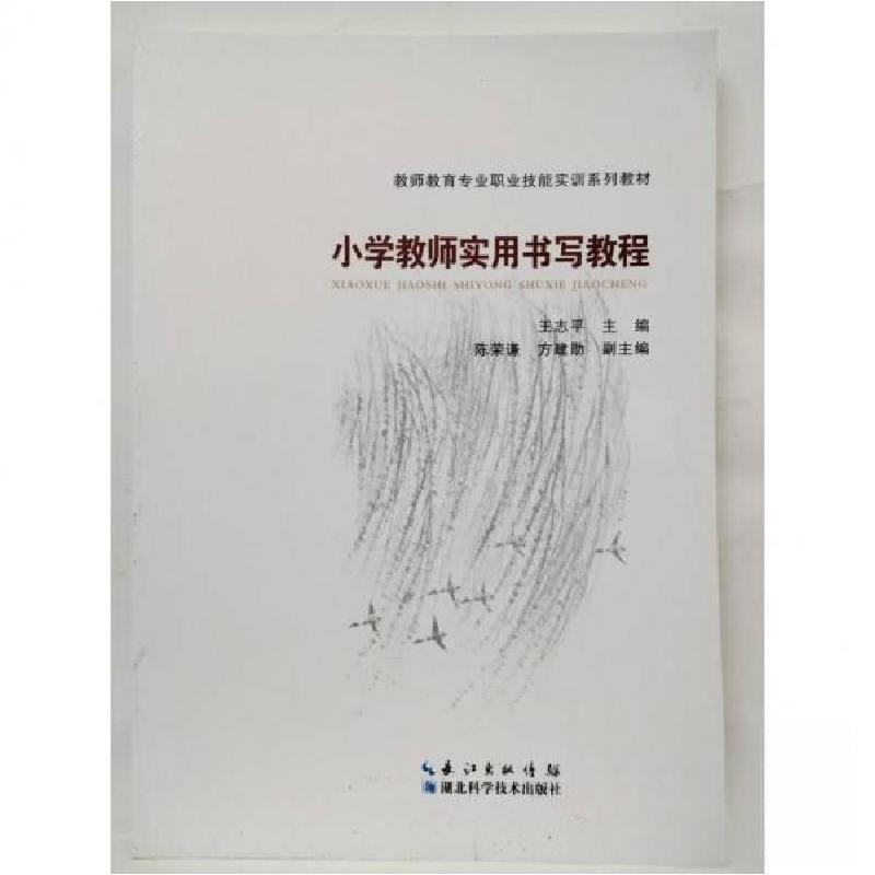 正版新书]小学教师实用书写教程[王志平 著]9787535289551高清大图